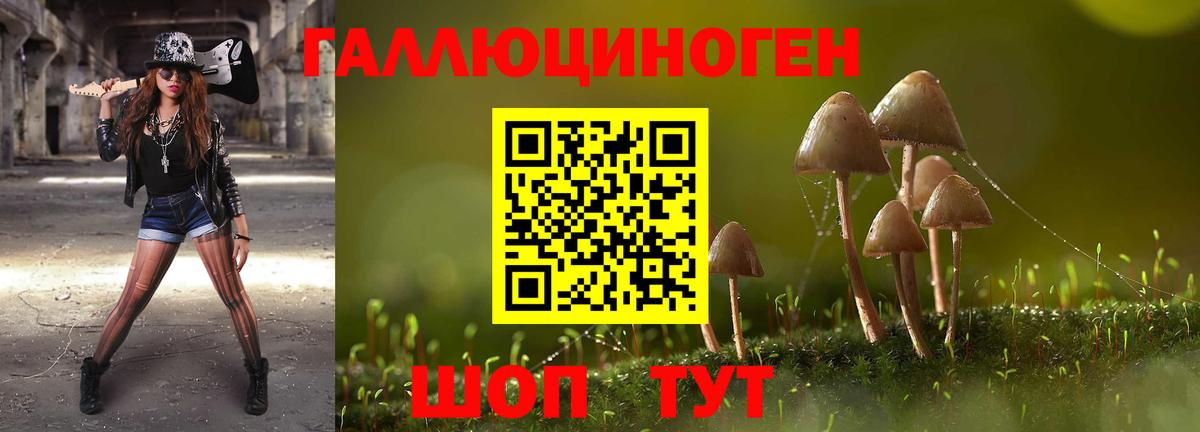 Нерюнгри  Галлюциногенные грибы Magic Shrooms  Псилоцибиновые грибы ЛСД  Вход с VPN 